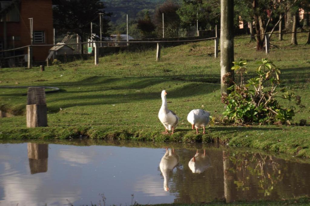Hotel Fazenda Pampas Canela Eksteriør bilde