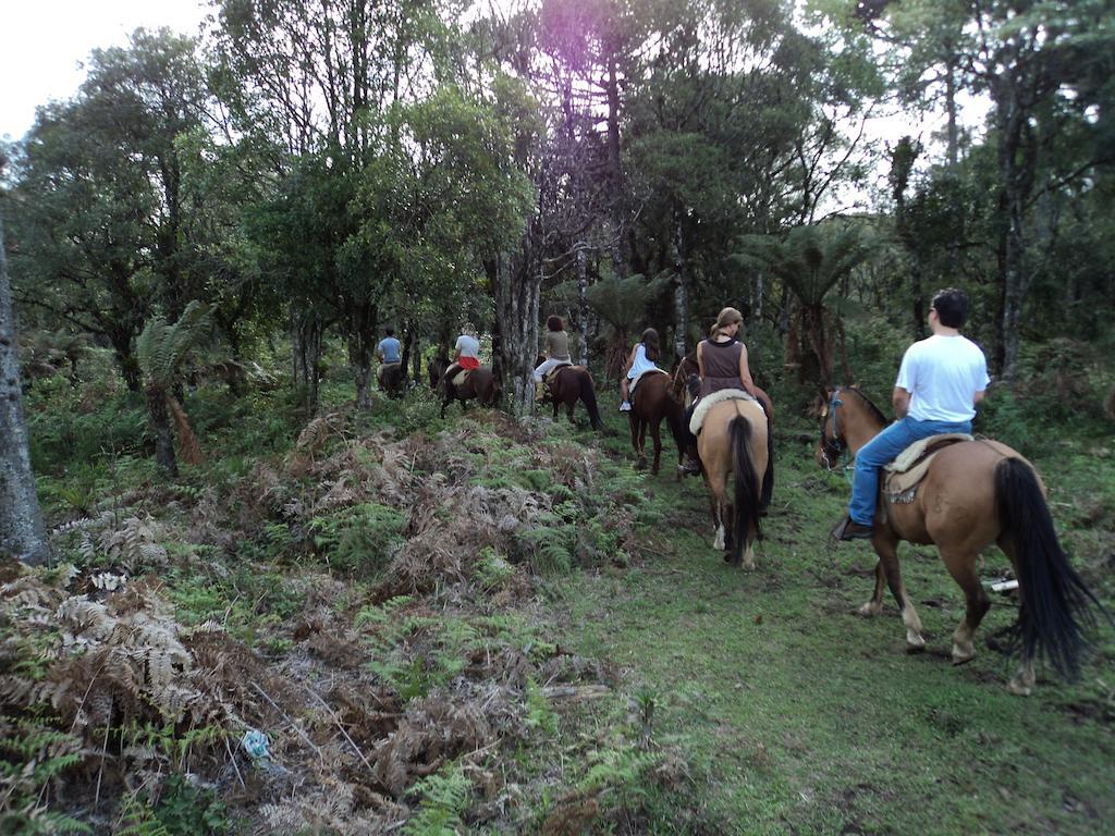 Hotel Fazenda Pampas Canela Eksteriør bilde