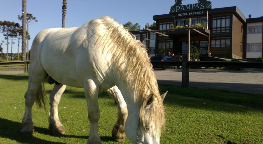 Hotel Fazenda Pampas Canela Eksteriør bilde